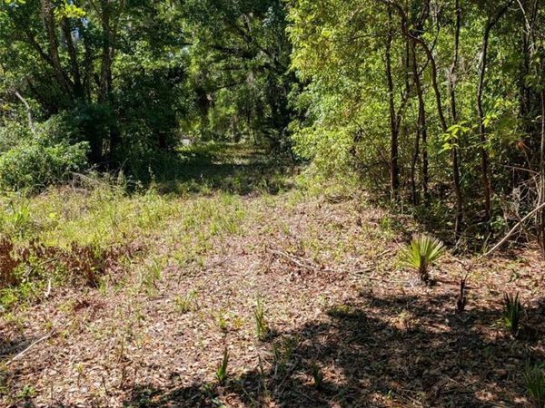 0 NW 202ND PLACE, MC INTOSH, FL 32664