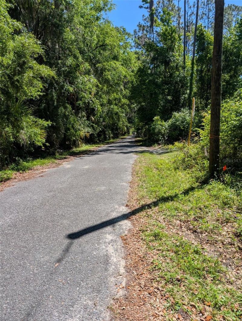 0 NW 202nd Place, Mc Intosh, FL 32664 Photo