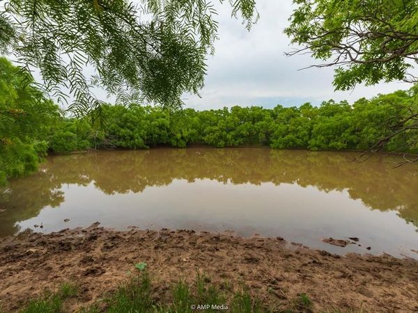 TBD FM 3116, Anson, TX 79501