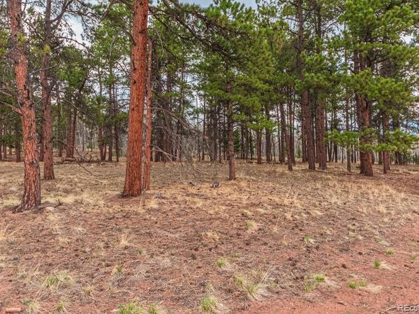 1290 Firestone Drive, Woodland Park, CO 80863