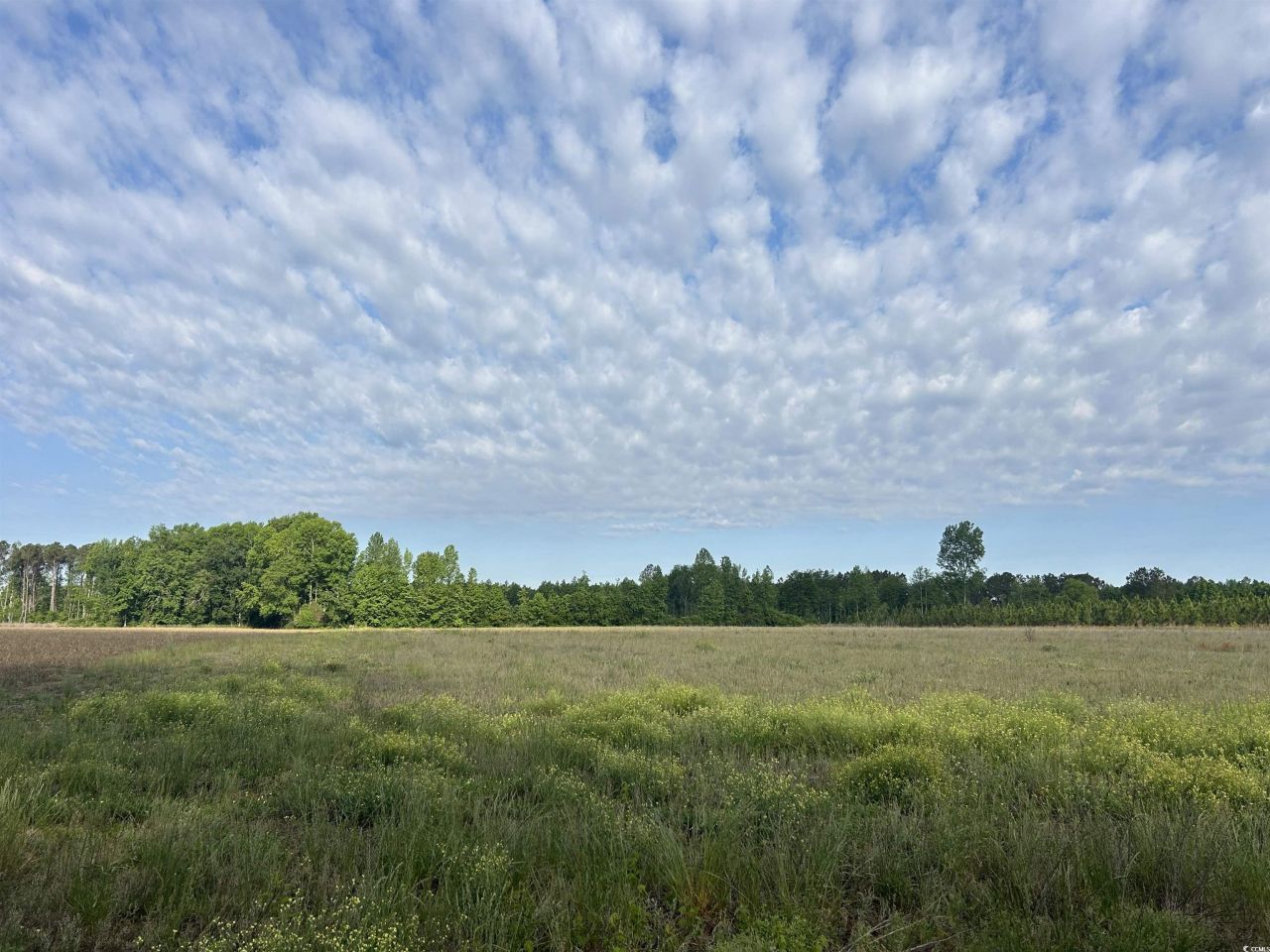 Tbd Highway 430 Photo 12