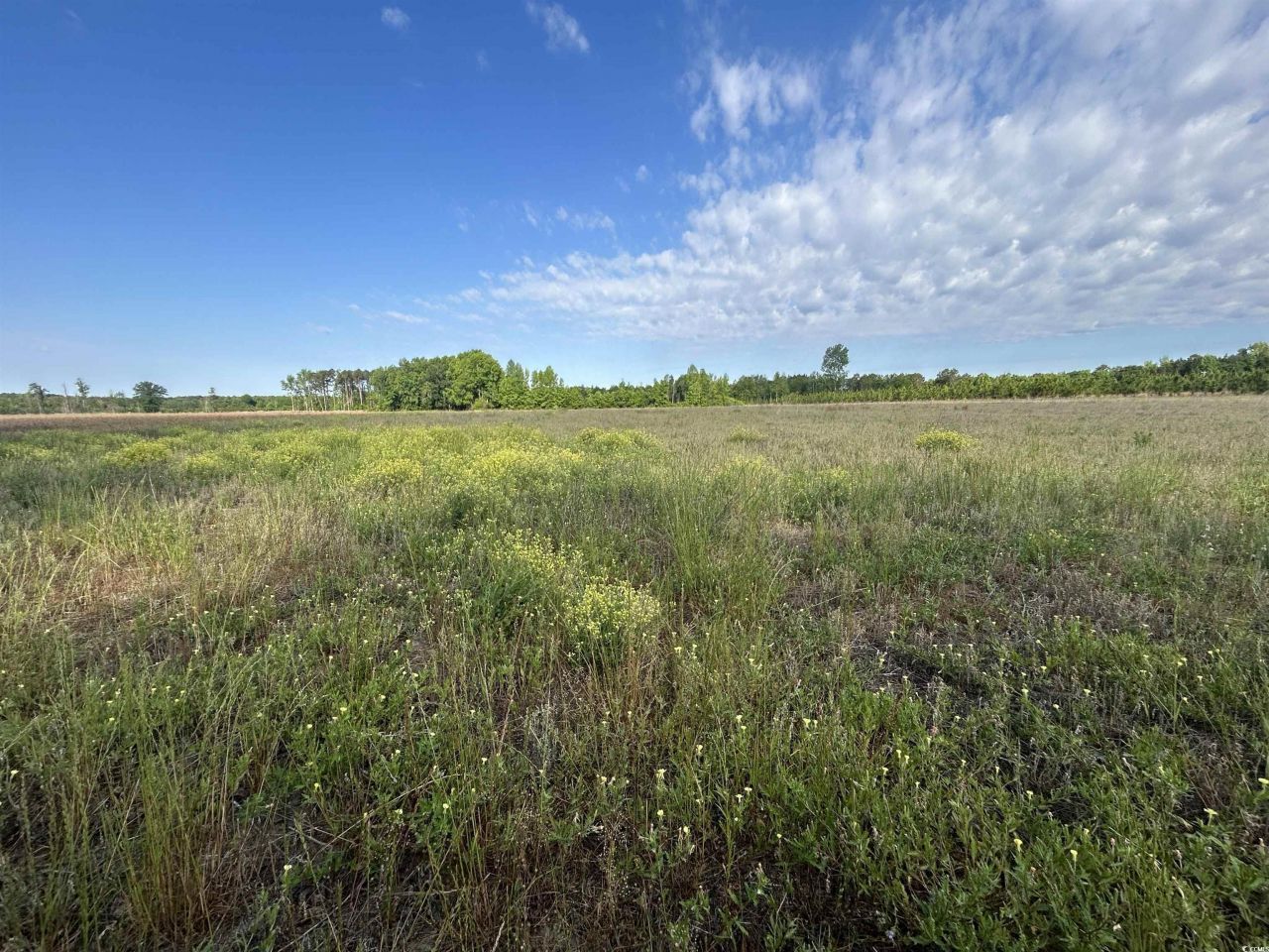 Tbd Highway 430 Photo 13