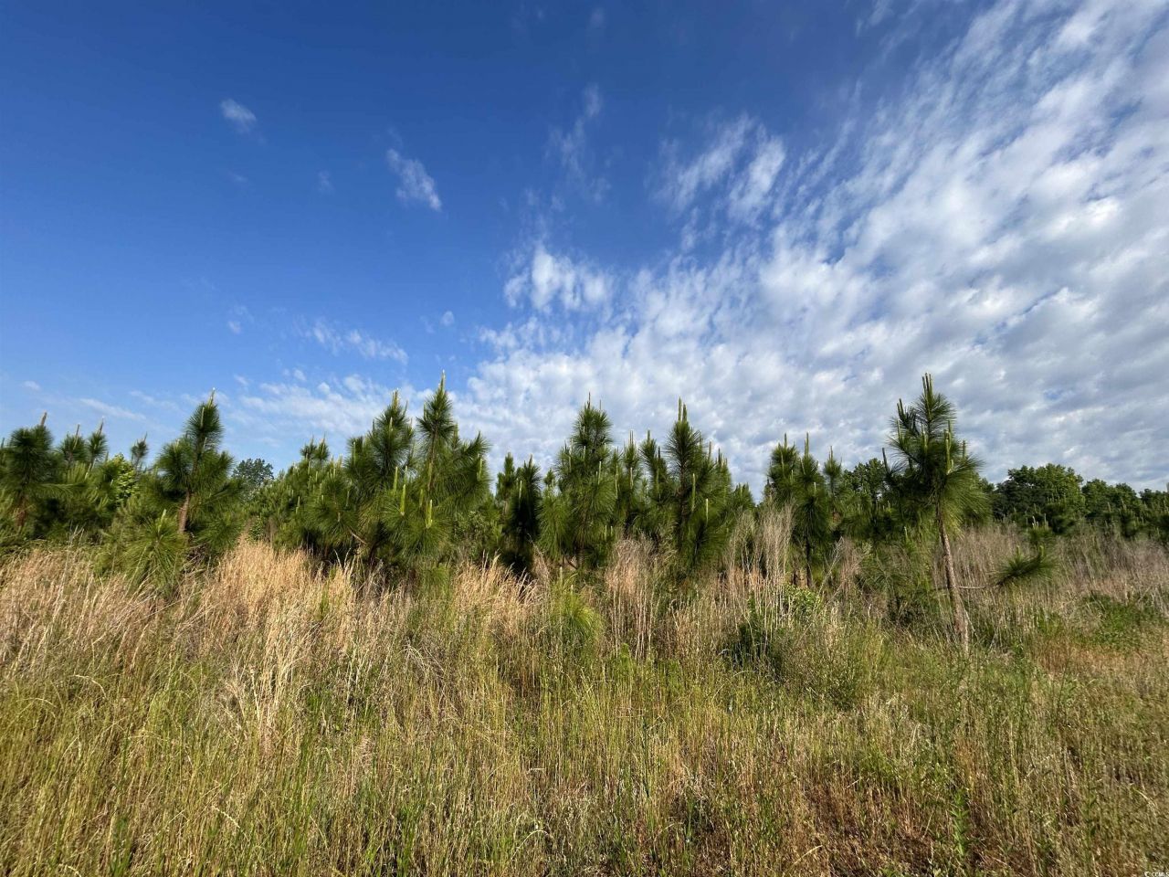 Tbd Highway 430 Photo 15