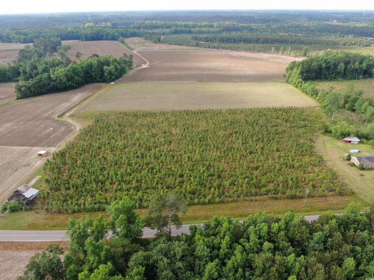 Tbd Highway 430 Photo 4