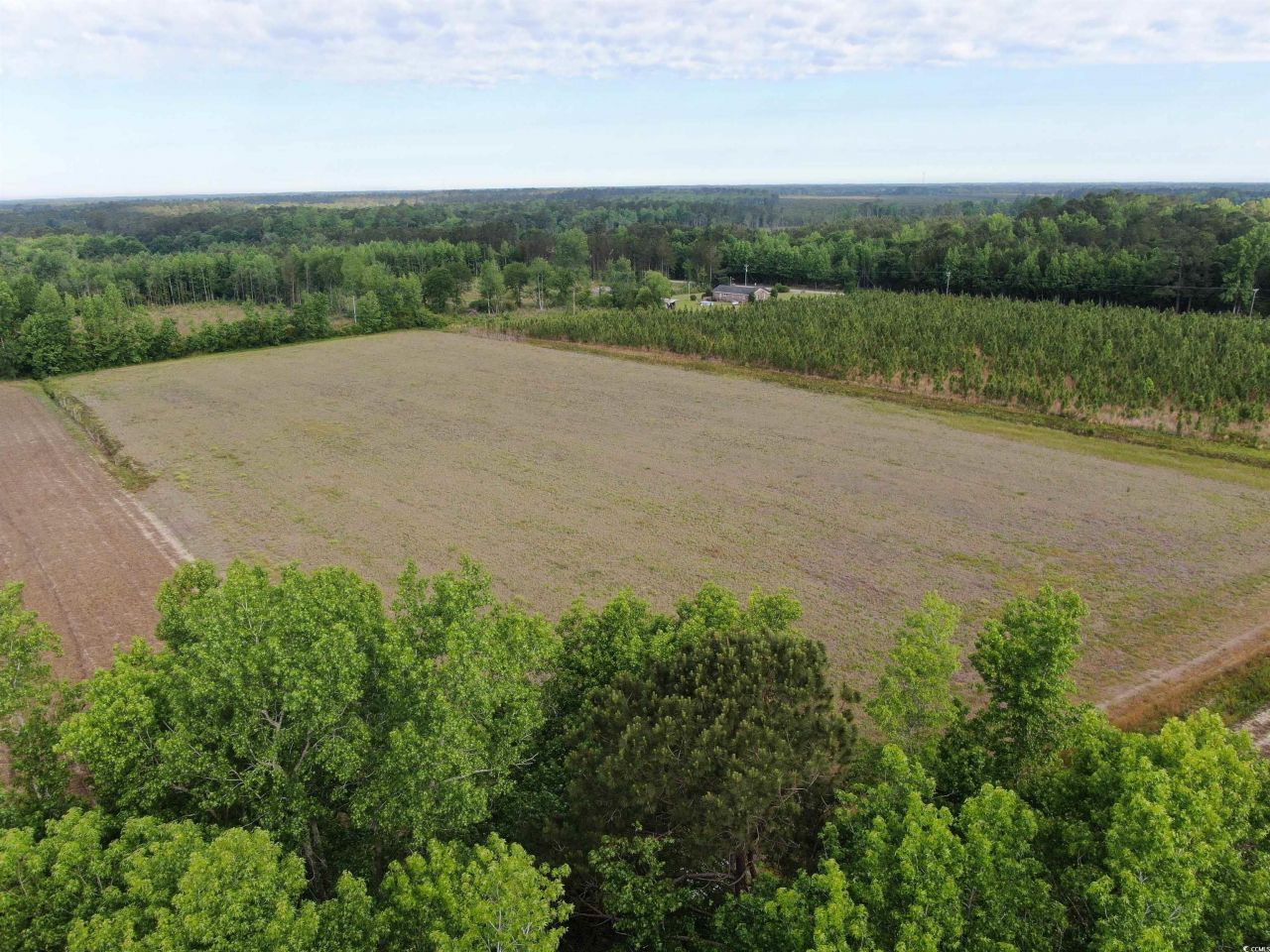 Tbd Highway 430 Photo 6