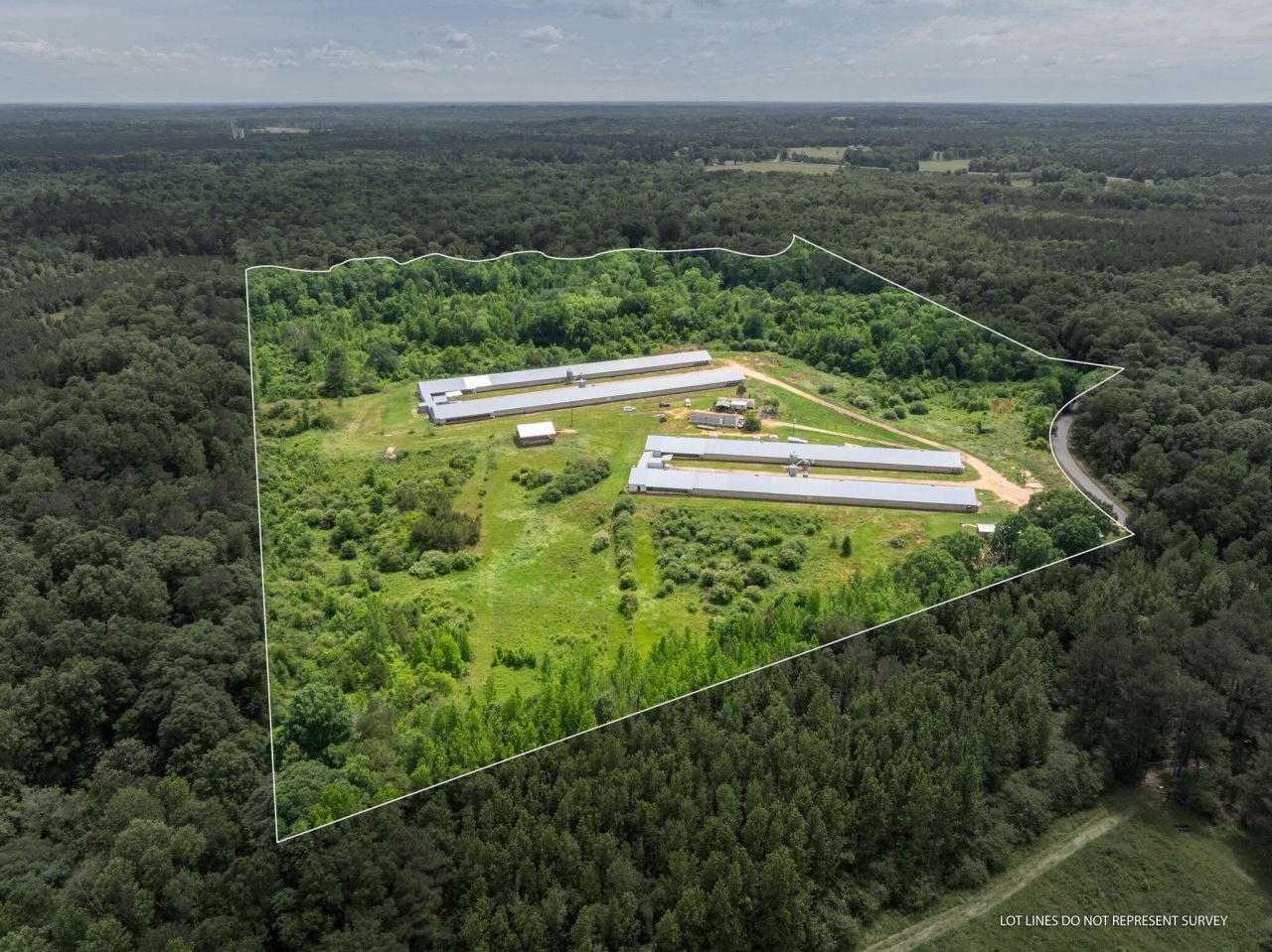 292 Arbo Rd., Mount Olive, MS 39119 Main Photo