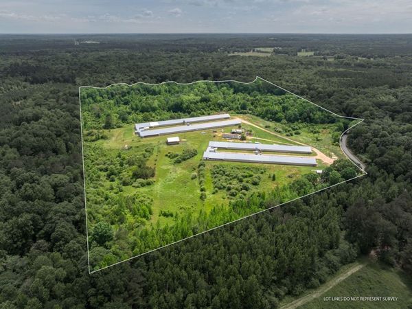 292 Arbo Rd., Mount Olive, MS 39119