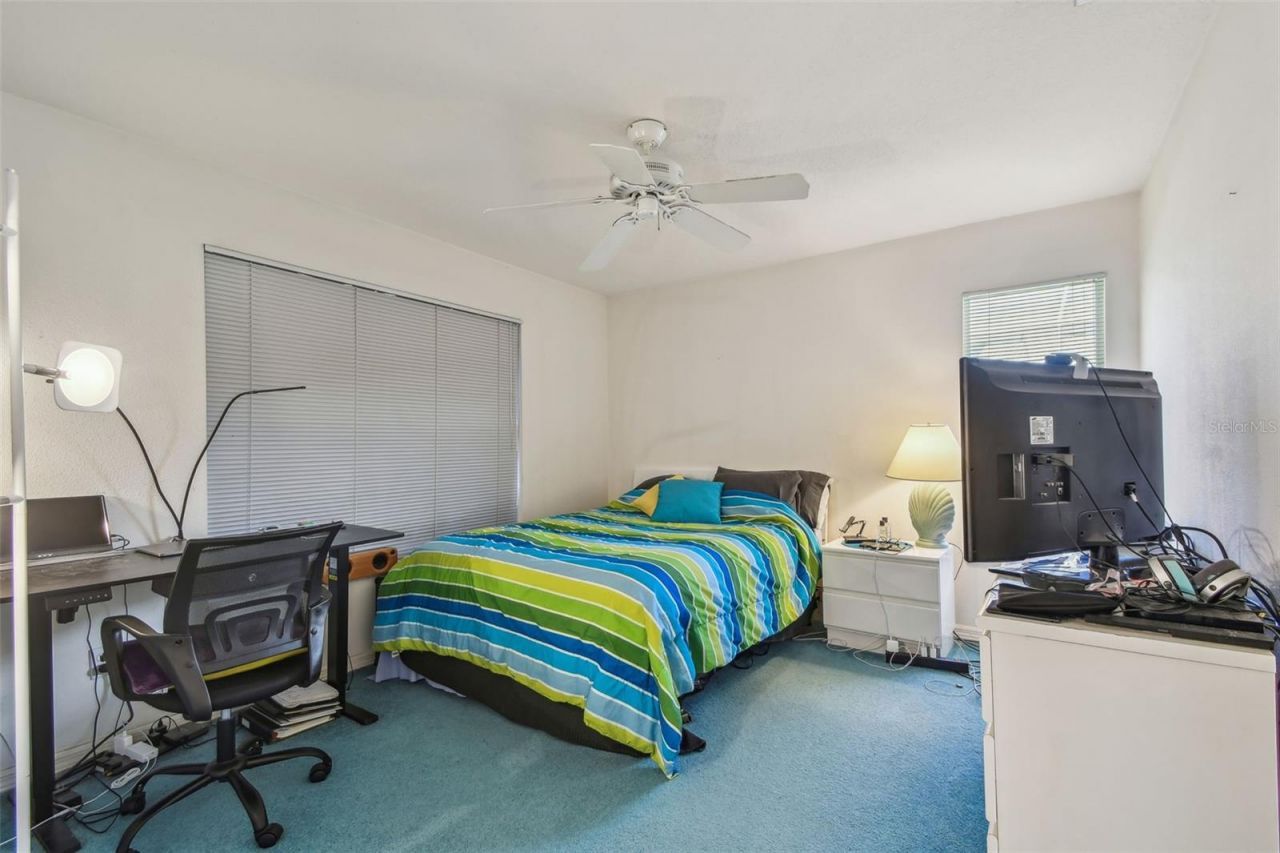 5001 Queen Palm Terrace Ne, Saint Petersburg, FL 33703 Photo