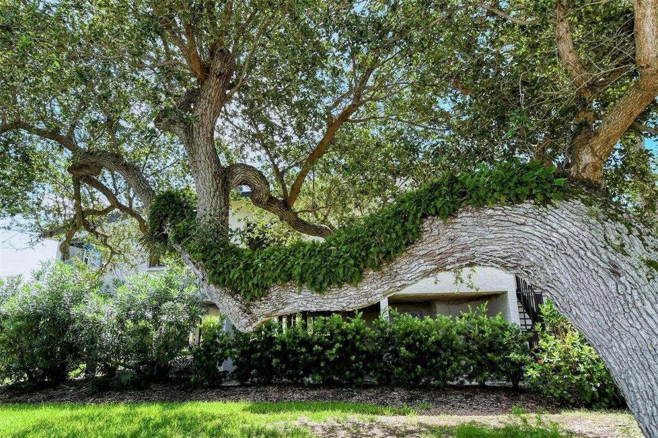 6285 Midnight Pass Road, Unit 403, Sarasota, FL 34242 Photo