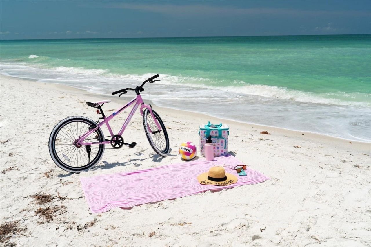 1070 Eldorado Avenue, Clearwater Beach, FL 33767 Photo