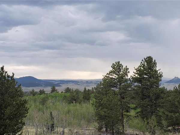 001 Bonus Gulch Way, Jefferson, CO 80456