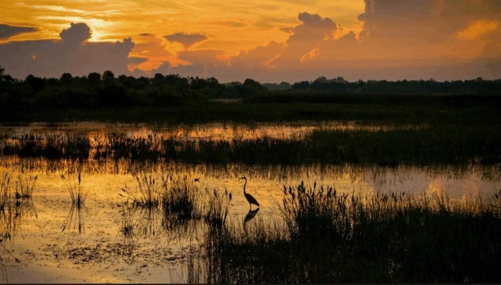 9120 Coral Isles Circle, Unit {Lot 06}, Palm Beach Gardens, FL 33412 Photo