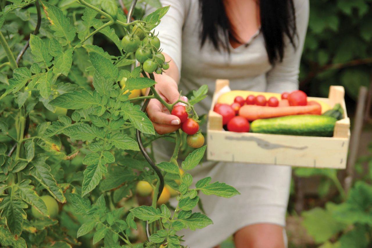 9120 Coral Isles Circle, Unit {Lot 06}, Palm Beach Gardens, FL 33412 Photo