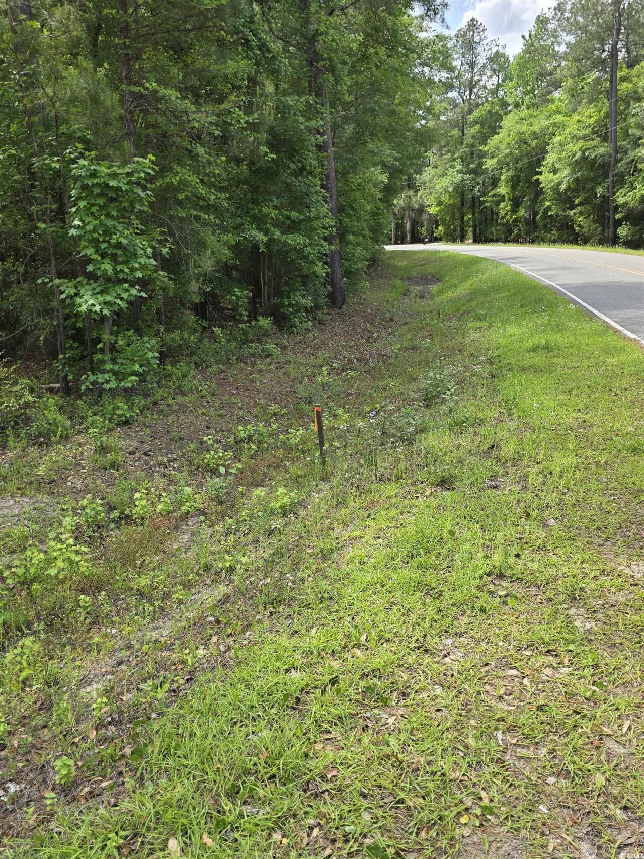 Lot 18 Cypress Knee Ct. Photo 4