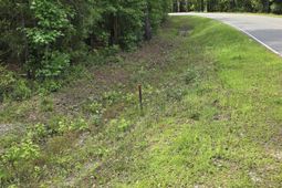 Lot 18 Cypress Knee Ct. photo 4