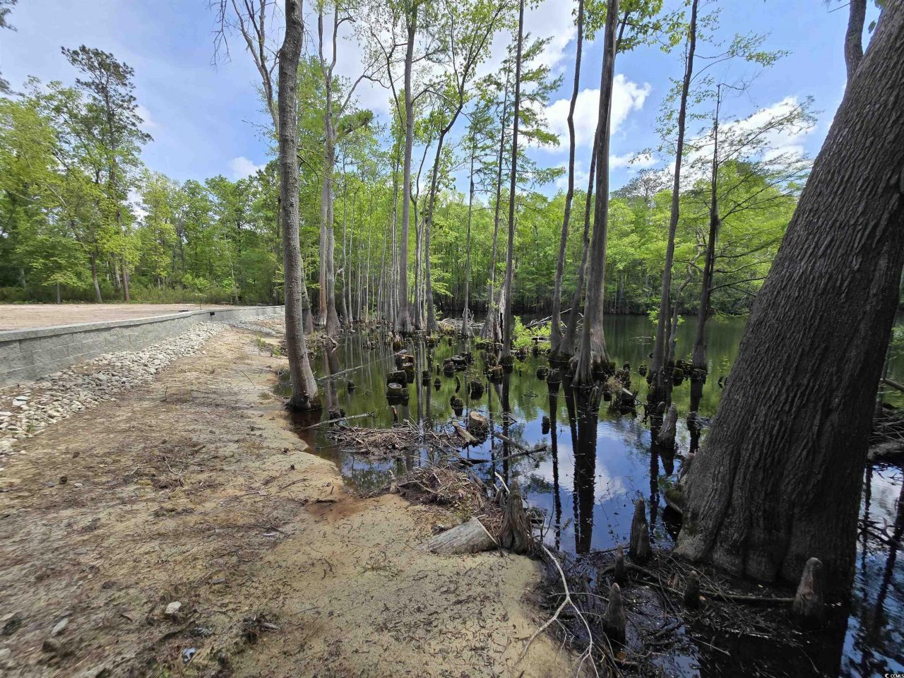 Lot 17 Rowe Pond Rd. Photo 11