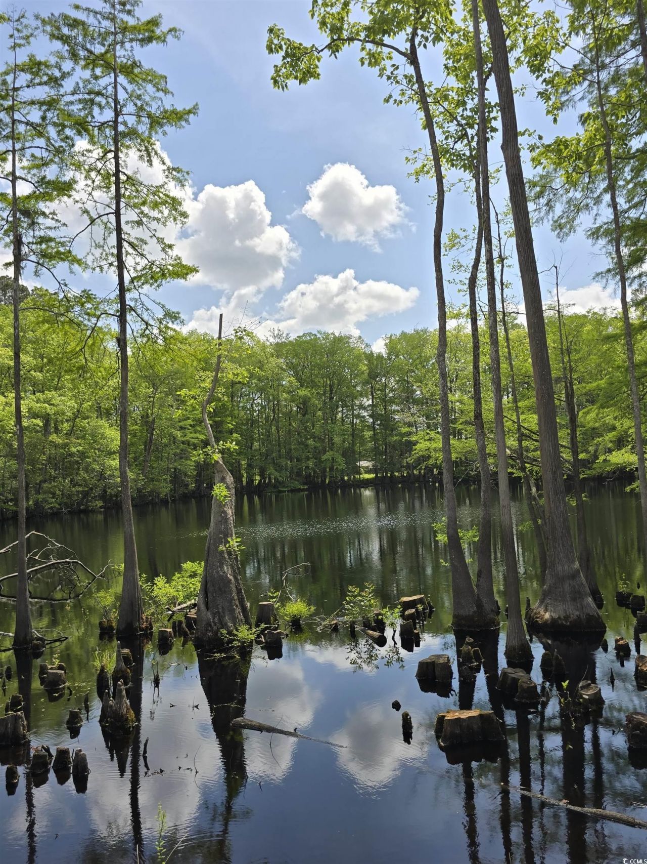 Lot 17 Rowe Pond Rd. Photo 14