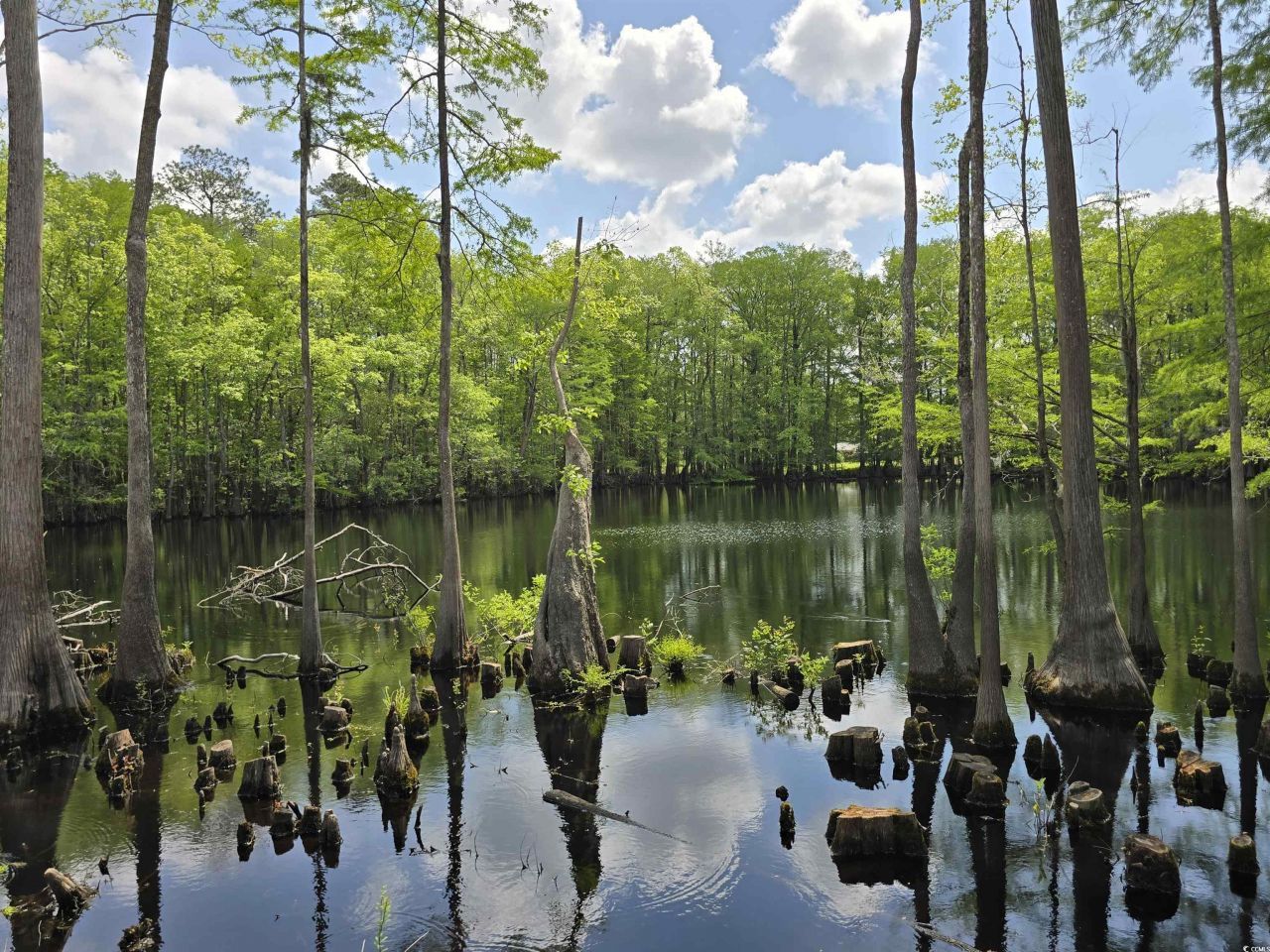 Lot 17 Rowe Pond Rd. Photo 15