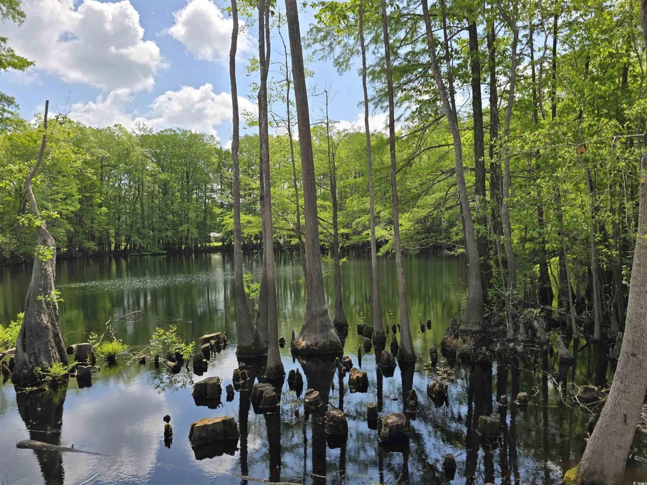 Lot 17 Rowe Pond Rd. Photo 16