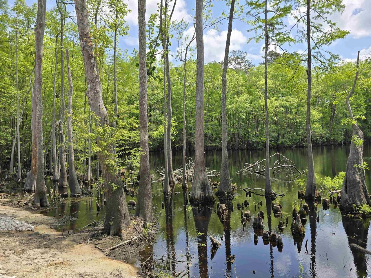 Lot 17 Rowe Pond Rd. Photo 17