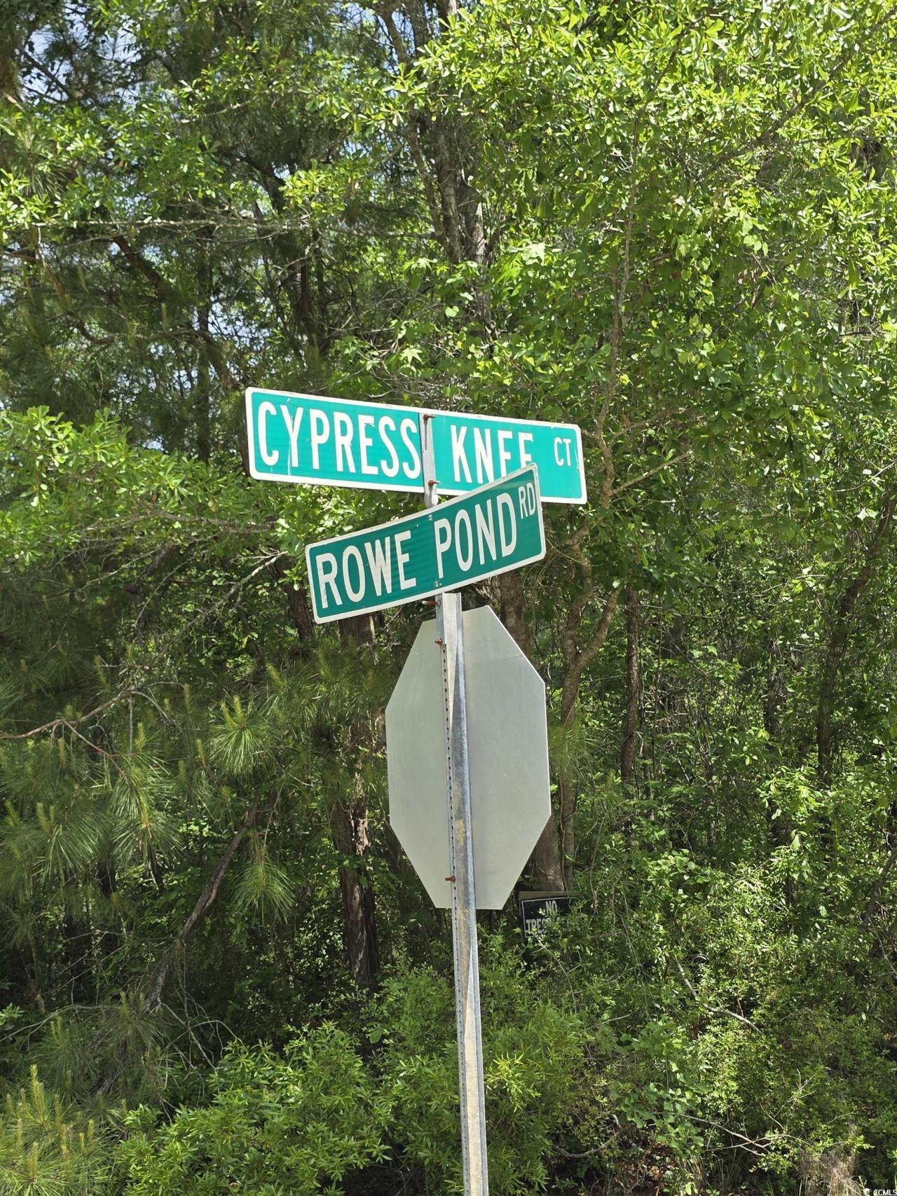 Lot 17 Rowe Pond Rd. Photo 20