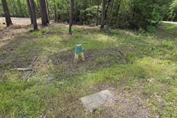 Lot 17 Rowe Pond Rd. photo 4