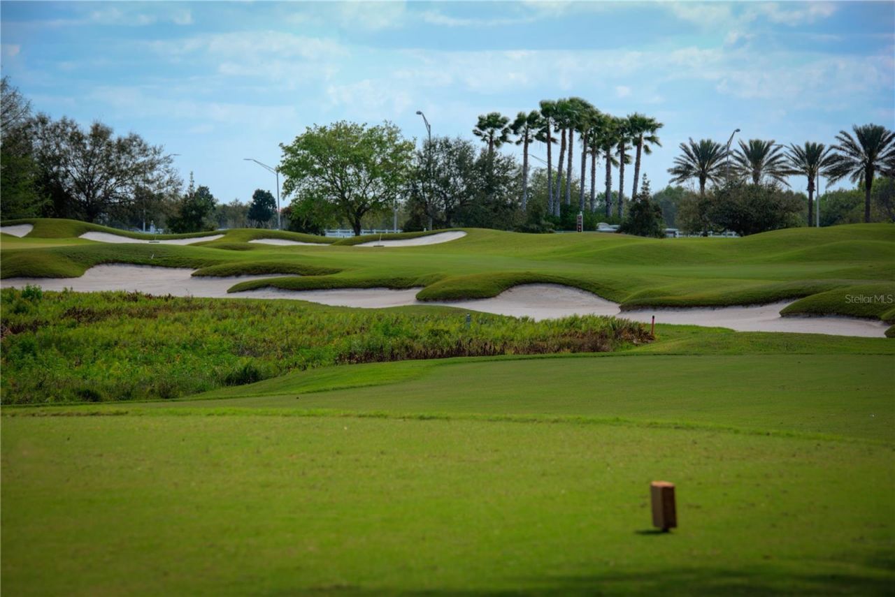 6919 Dominion Lane, Lakewood Ranch, FL 34202 Photo