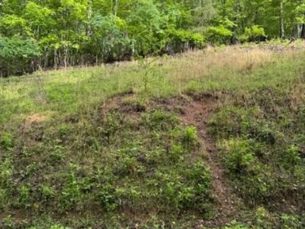 Lot 543 Rockview Drive, Spring City, TN 37381