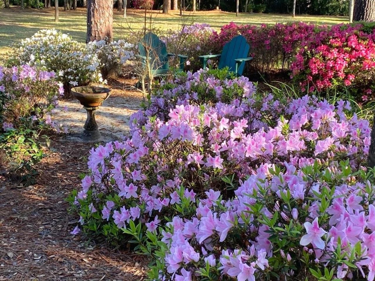 37918 N County Road 44a, Eustis, FL 32736 Photo