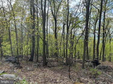 CHESTER GAP, VA 22623