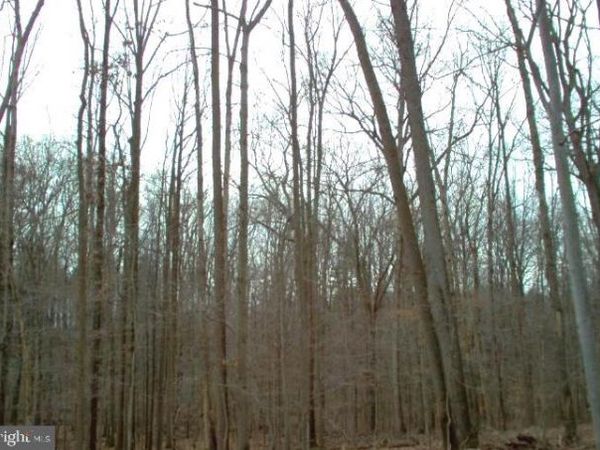 550 BRYANTS NURSERY ROAD, SILVER SPRING, MD 20905