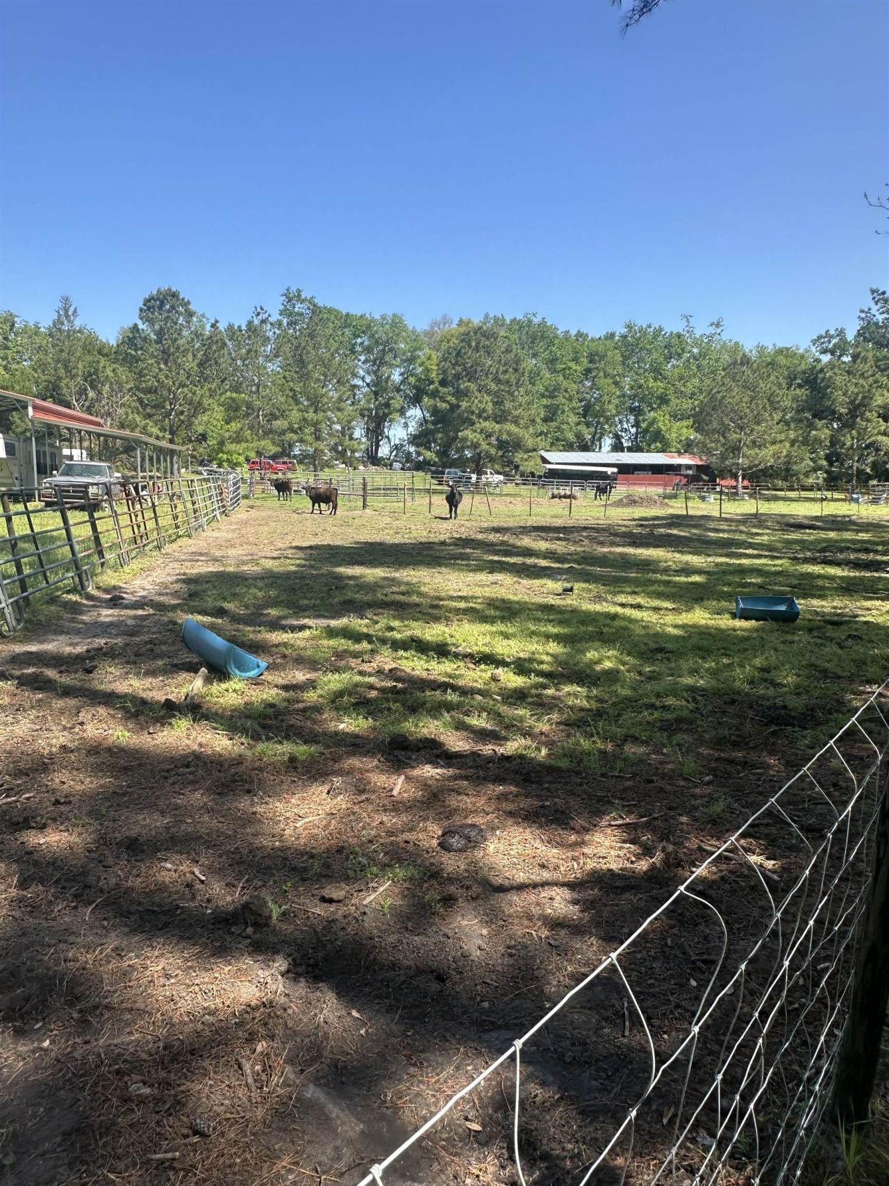 3282 NW Us 221 Highway, Greenville, FL 32331 Photo