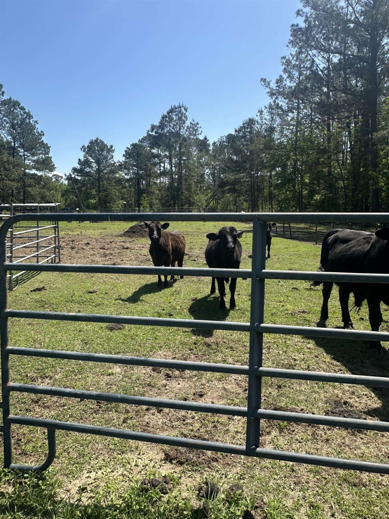 3282 NW Us 221 Highway, Greenville, FL 32331 Photo