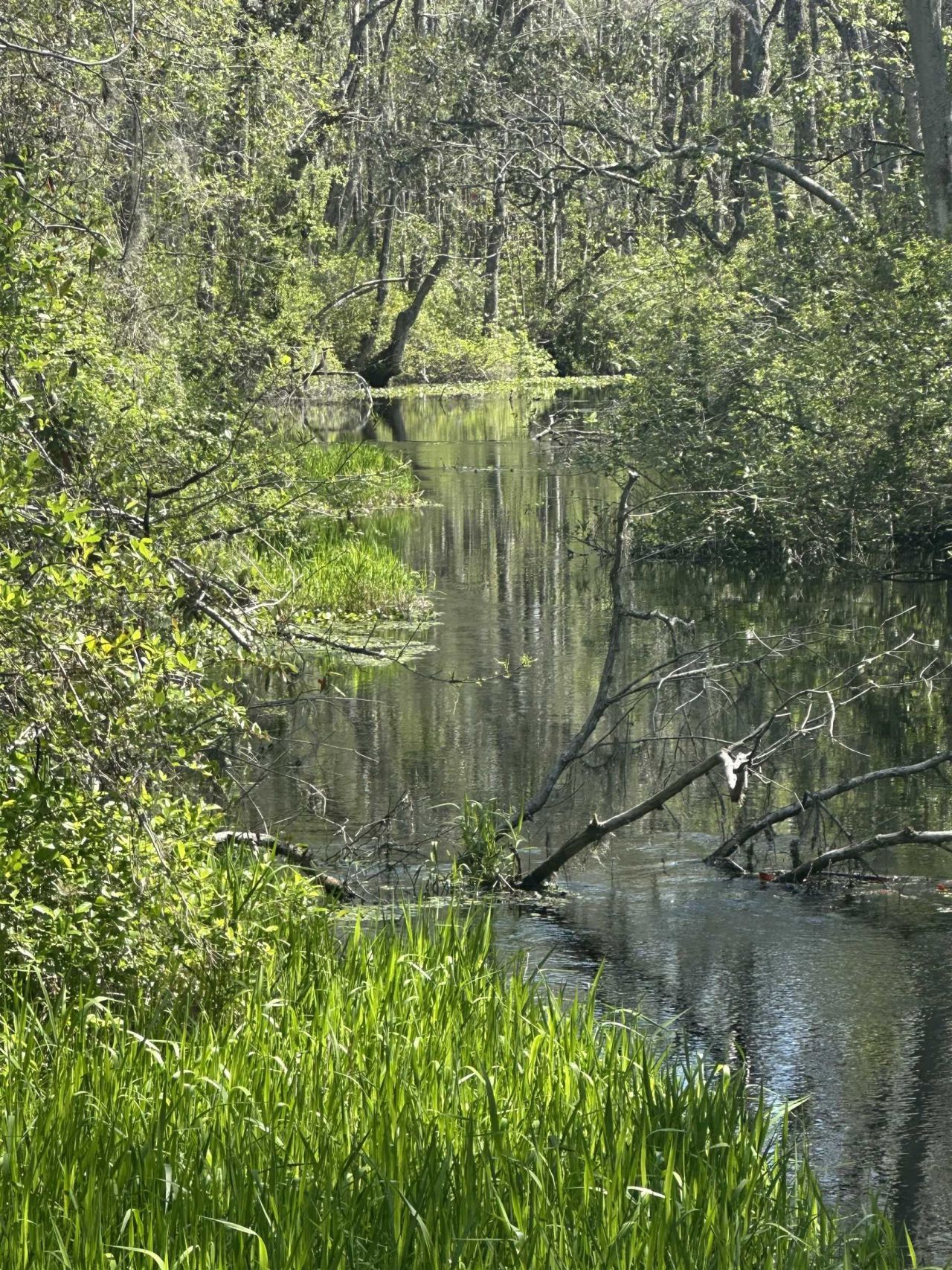 3282 NW Us 221 Highway, Greenville, FL 32331 Photo