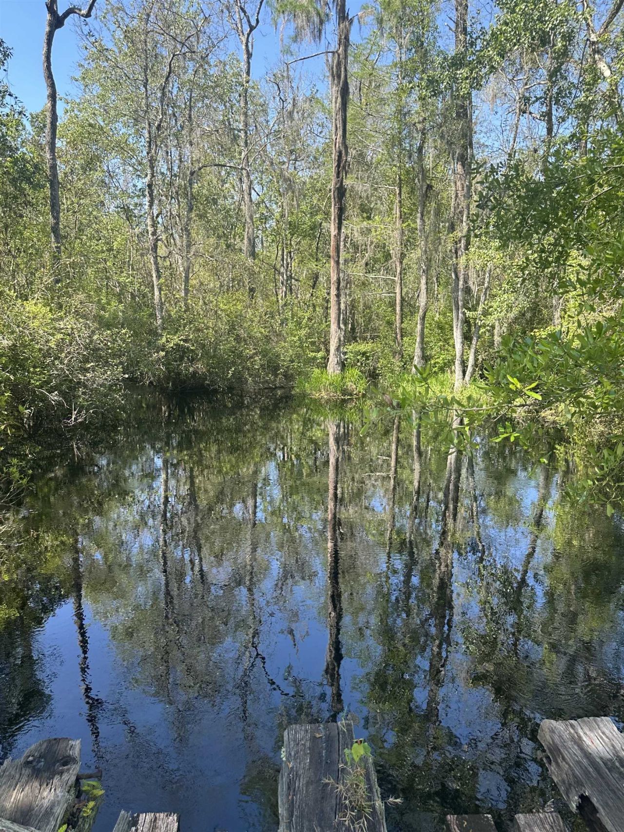 3282 NW Us 221 Highway, Greenville, FL 32331 Photo