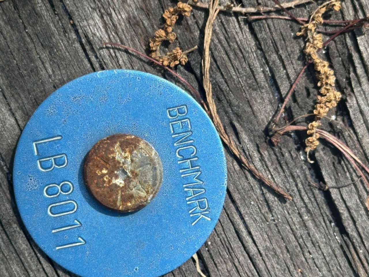 3282 NW Us 221 Highway, Greenville, FL 32331 Photo