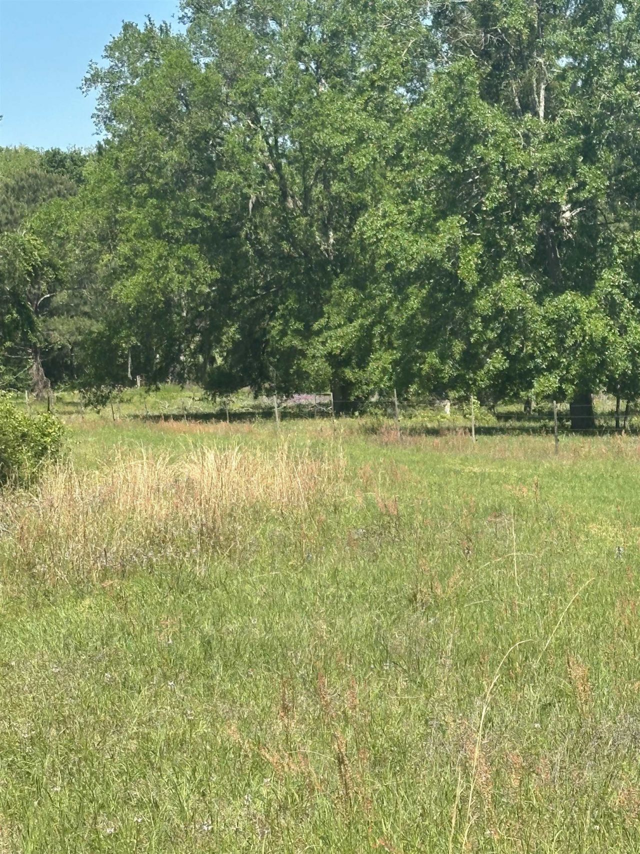 3282 NW Us 221 Highway, Greenville, FL 32331 Photo