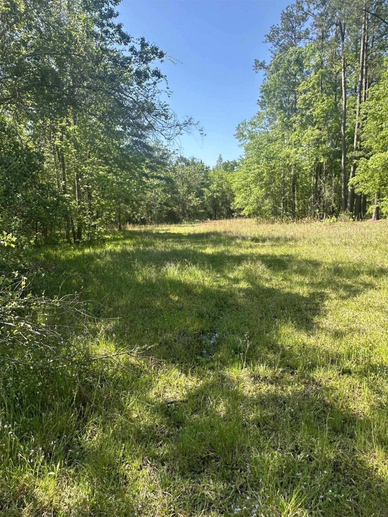 3282 NW Us 221 Highway, Greenville, FL 32331 Photo