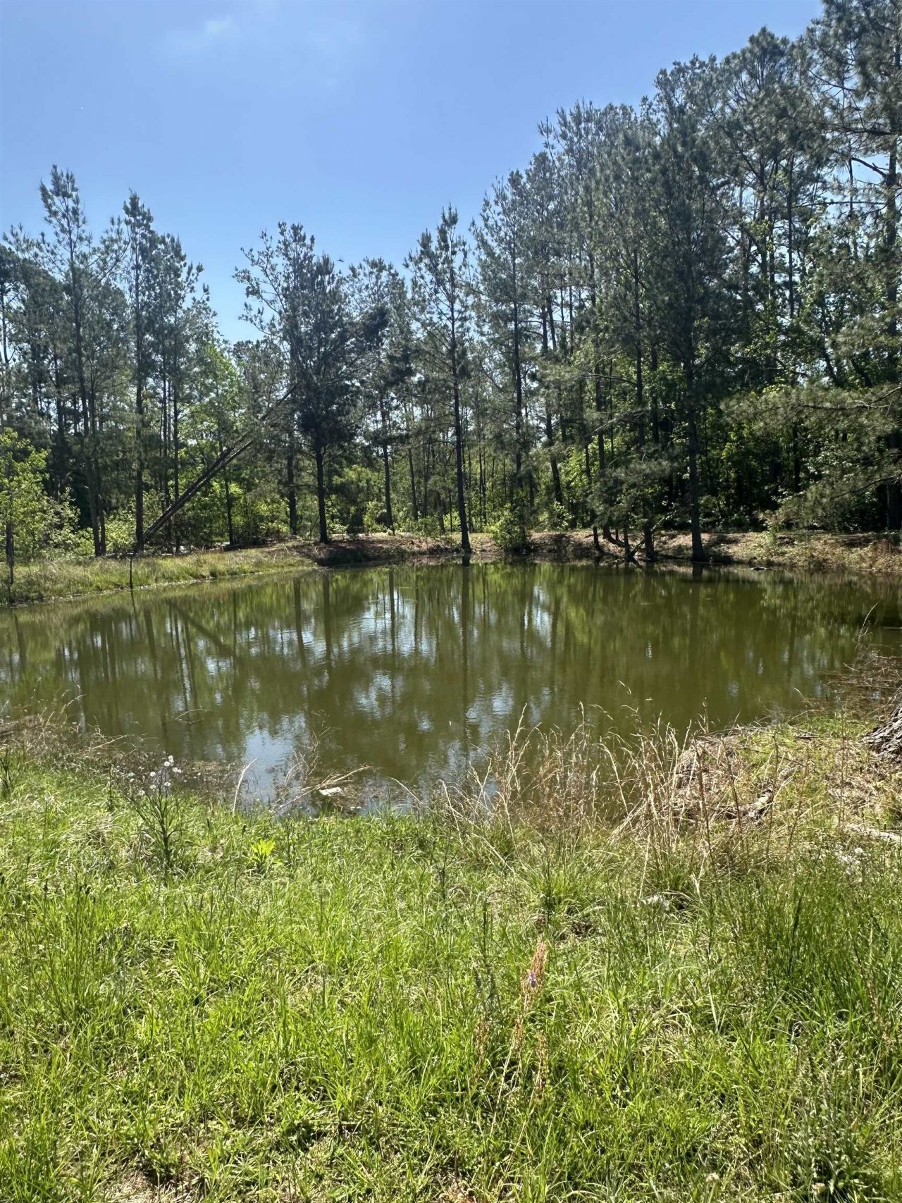 3282 NW Us 221 Highway, Greenville, FL 32331 Photo