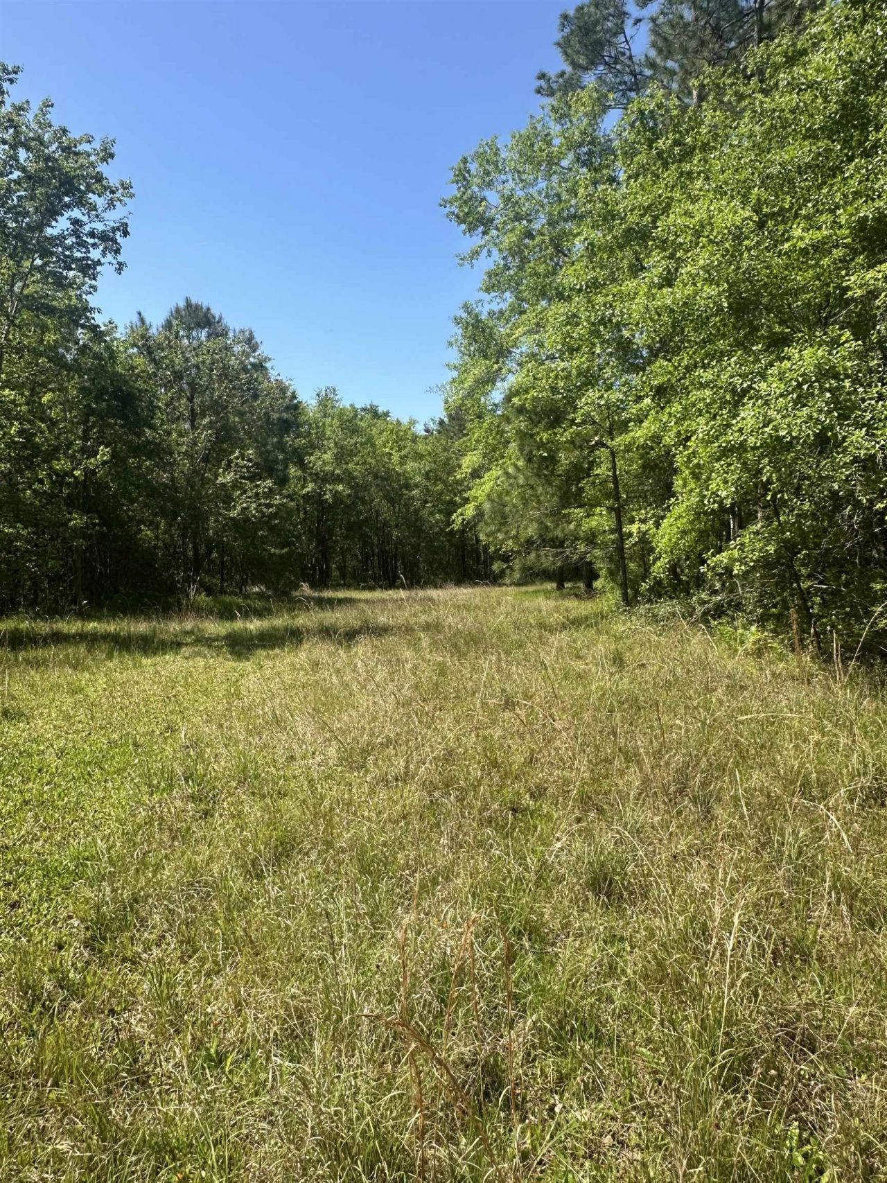 3282 NW Us 221 Highway, Greenville, FL 32331 Photo