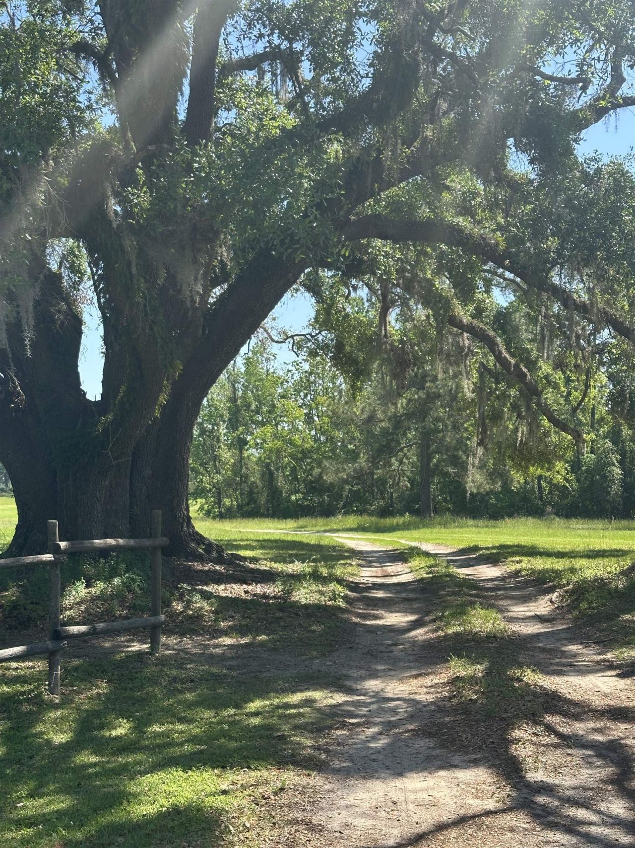 3282 NW Us 221 Highway, Greenville, FL 32331 Photo