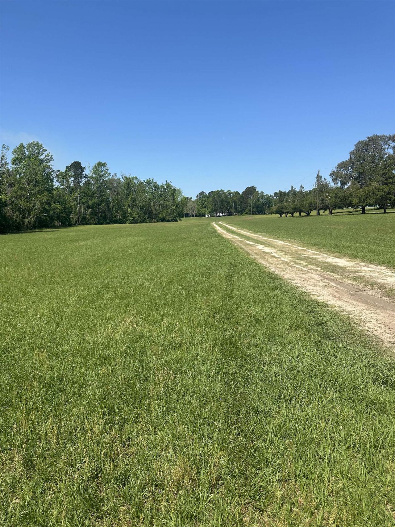 3282 NW Us 221 Highway, Greenville, FL 32331 Photo