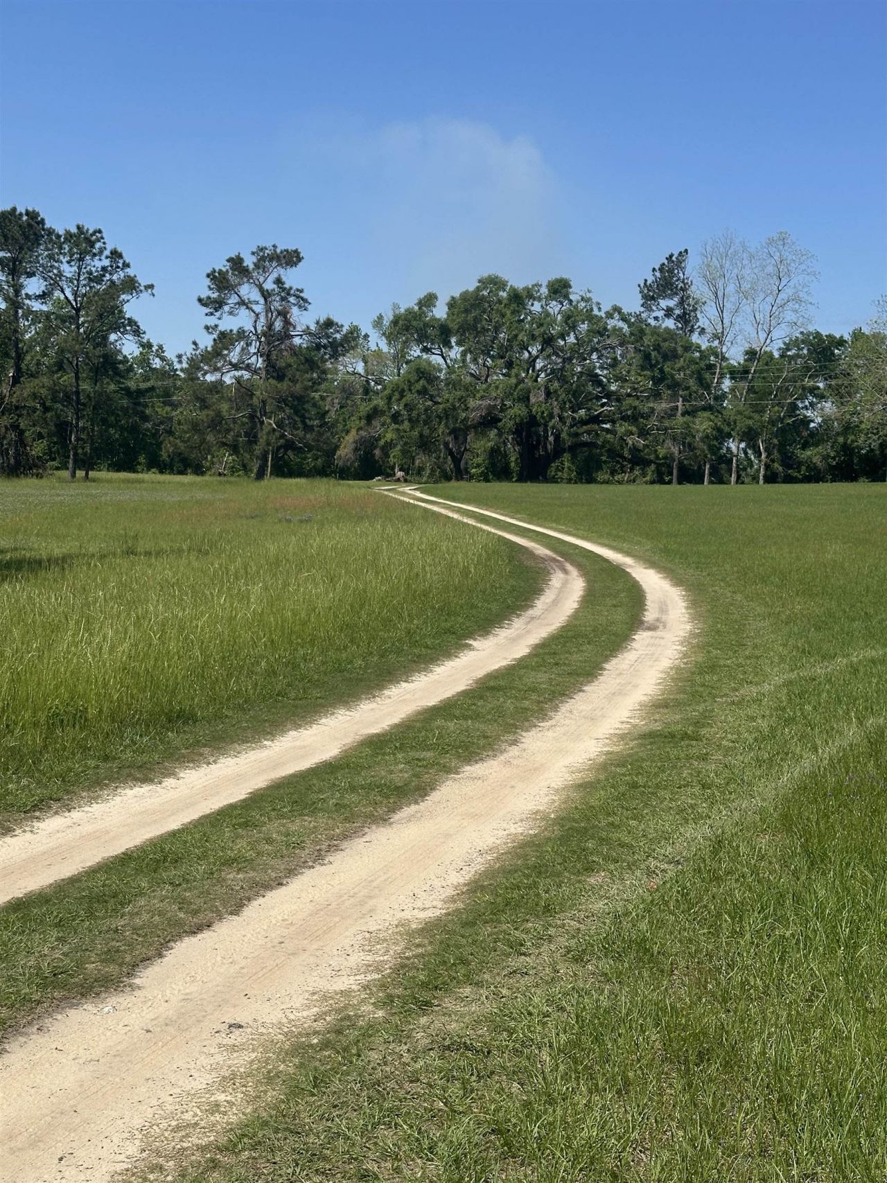 3282 NW Us 221 Highway, Greenville, FL 32331 Photo