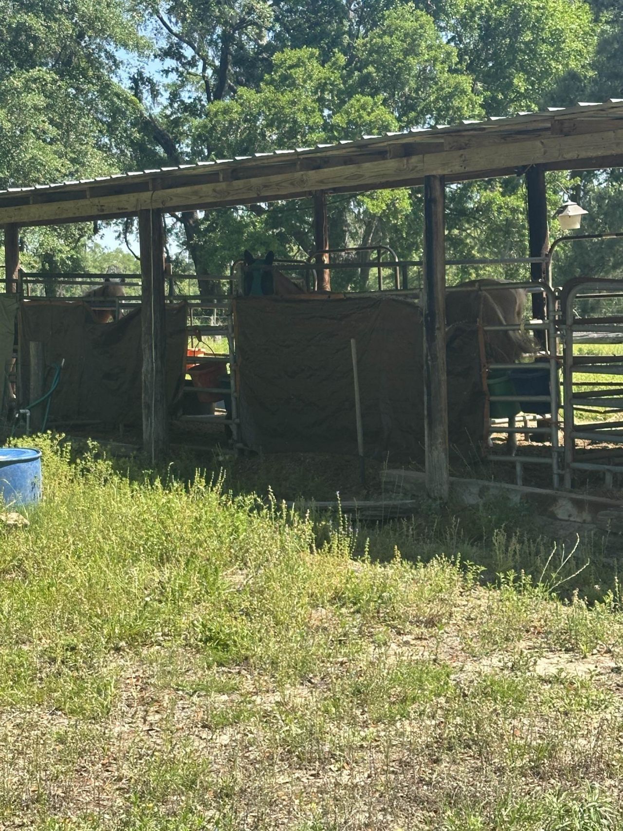 3282 NW Us 221 Highway, Greenville, FL 32331 Photo