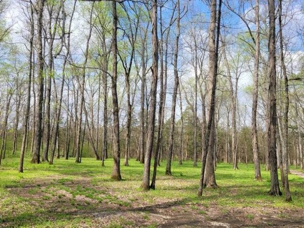 4 Pass Rd, Shelbyville, TN 37160