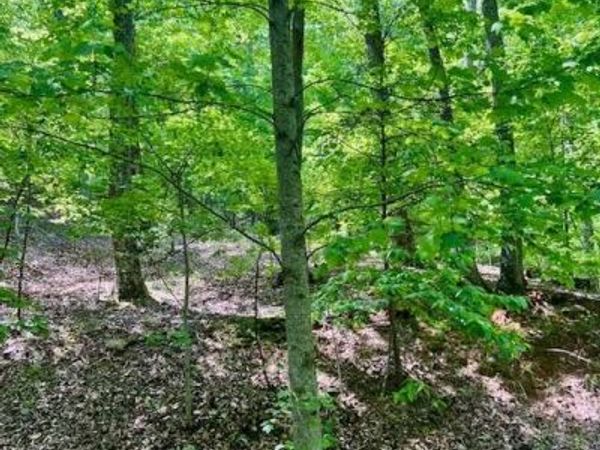 220 Yanegwa Knoll, Dawsonville, GA 30534