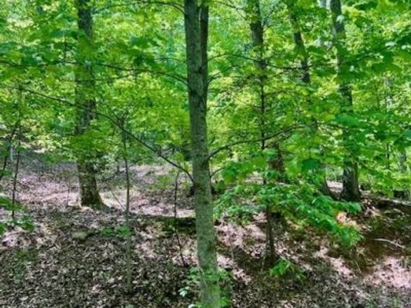 220 Yanegwa Knoll, Dawsonville, GA 30534