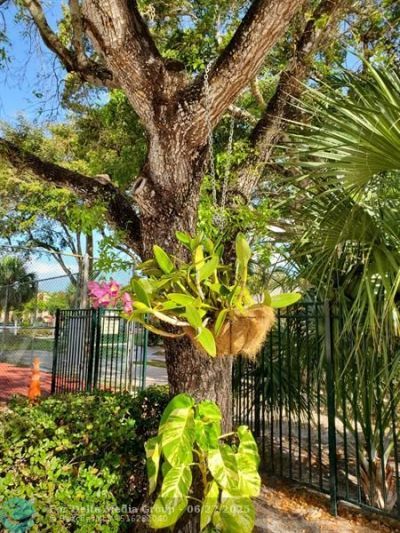 8120 SW 24th St, Unit 212, North Lauderdale, FL 33068 Photo