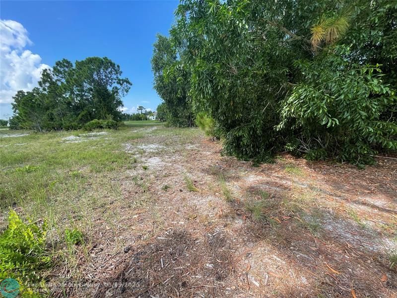 4513 NW 34th Place, Cape Coral, FL 33993 Photo