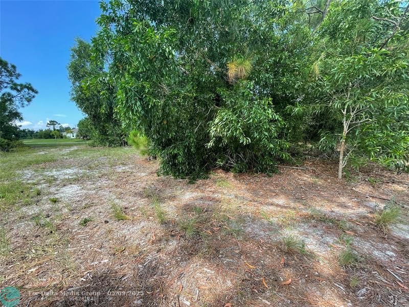 4513 NW 34th Place, Cape Coral, FL 33993 Photo